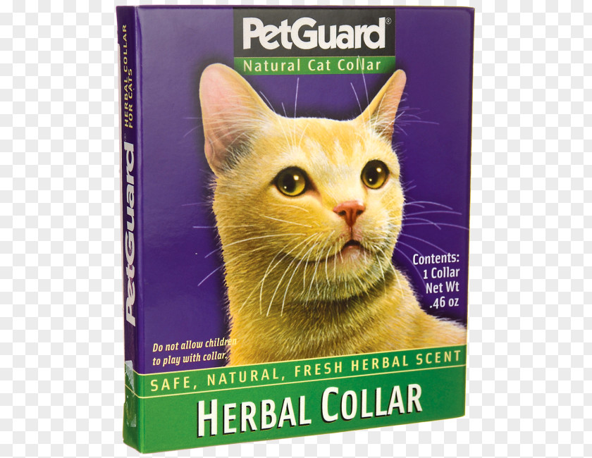 Cat Food Dog Collar Kitten PNG