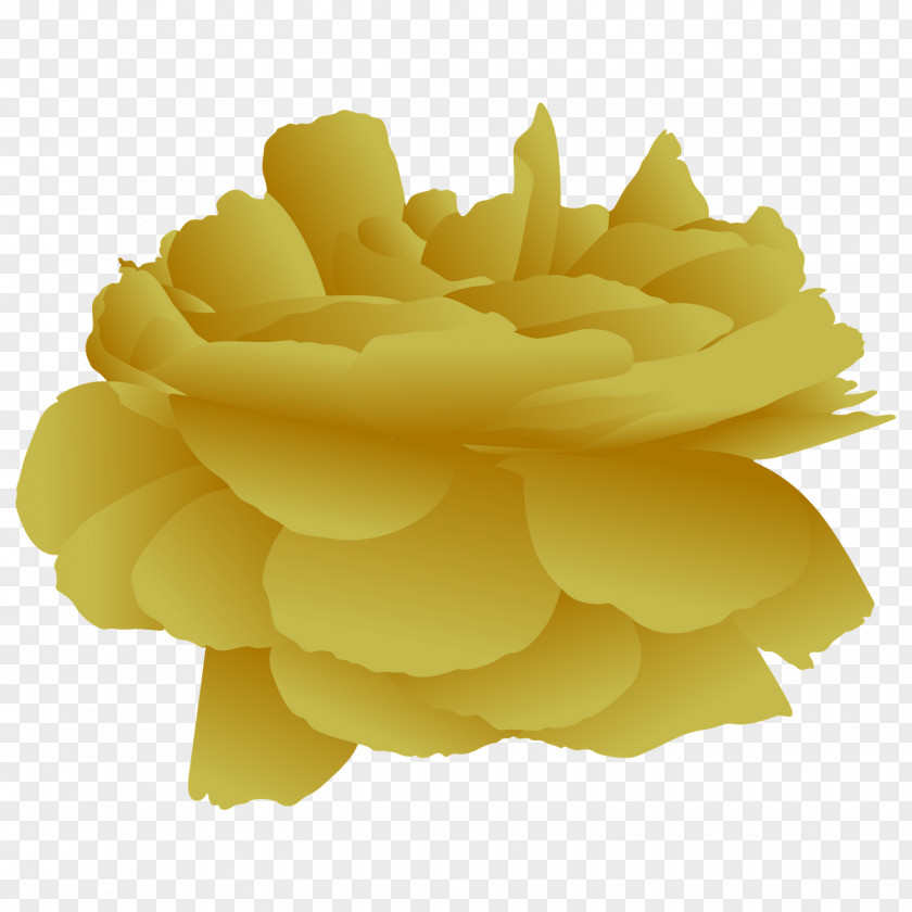 Flores Em Yellow Petal Champagne Beach Rose Flower PNG