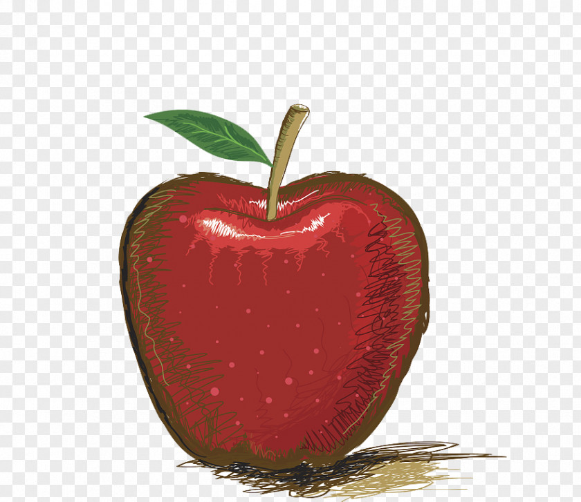 Hand-painted Apples Drawing Apple Illustration PNG