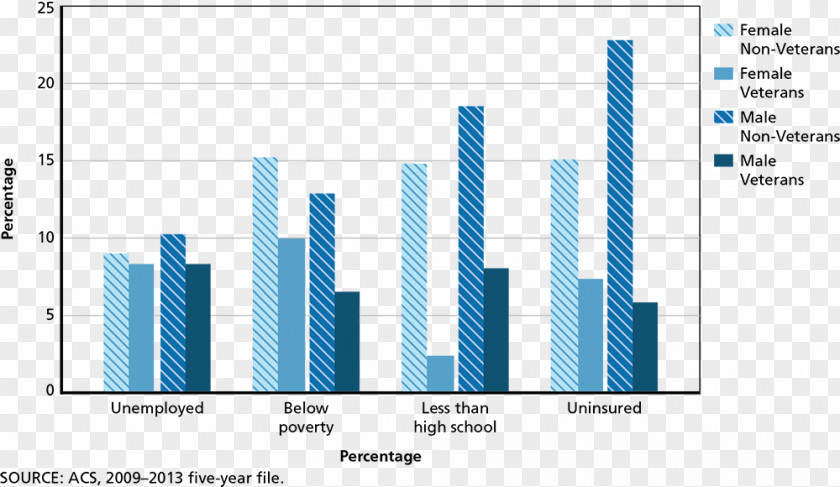 Military United States Department Of Veterans Affairs Statistics Homeless In The PNG