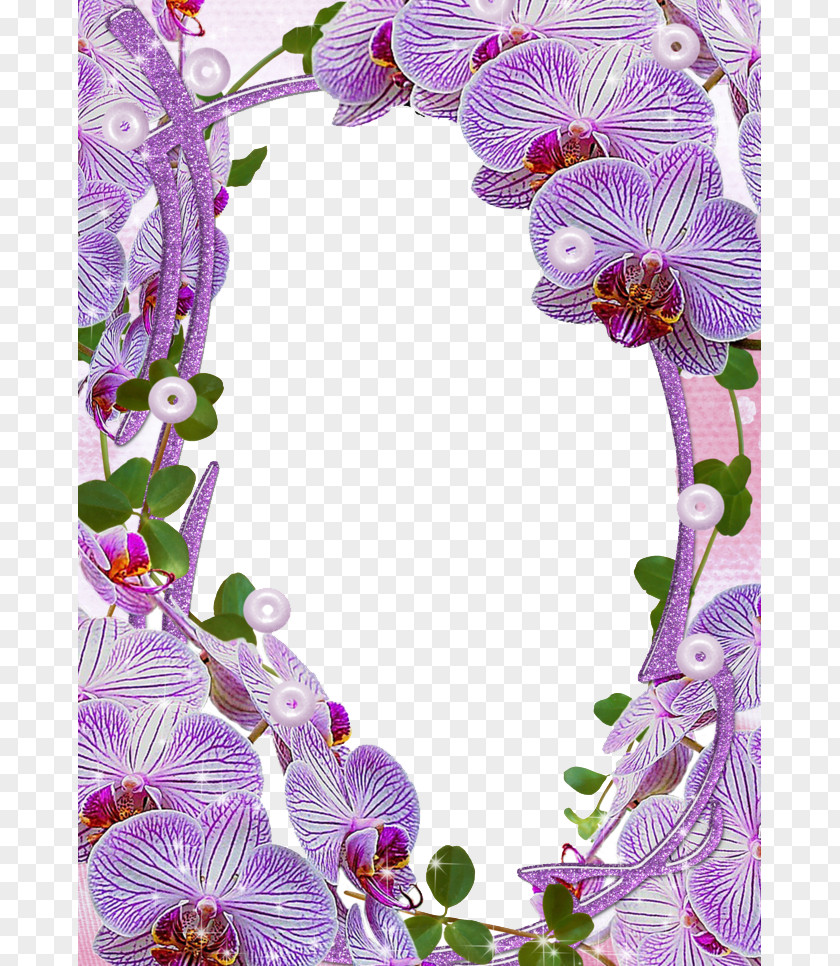 Mood Frame Picture Clip Art PNG