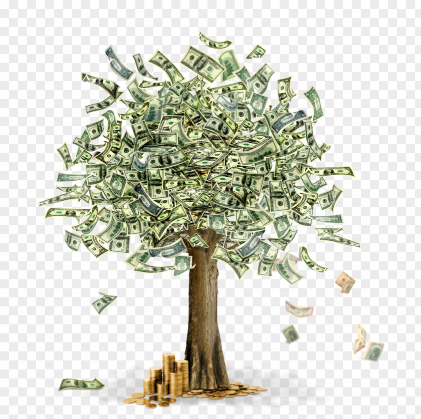 Money Flying Guiana Chestnut Tree Clip Art Image PNG