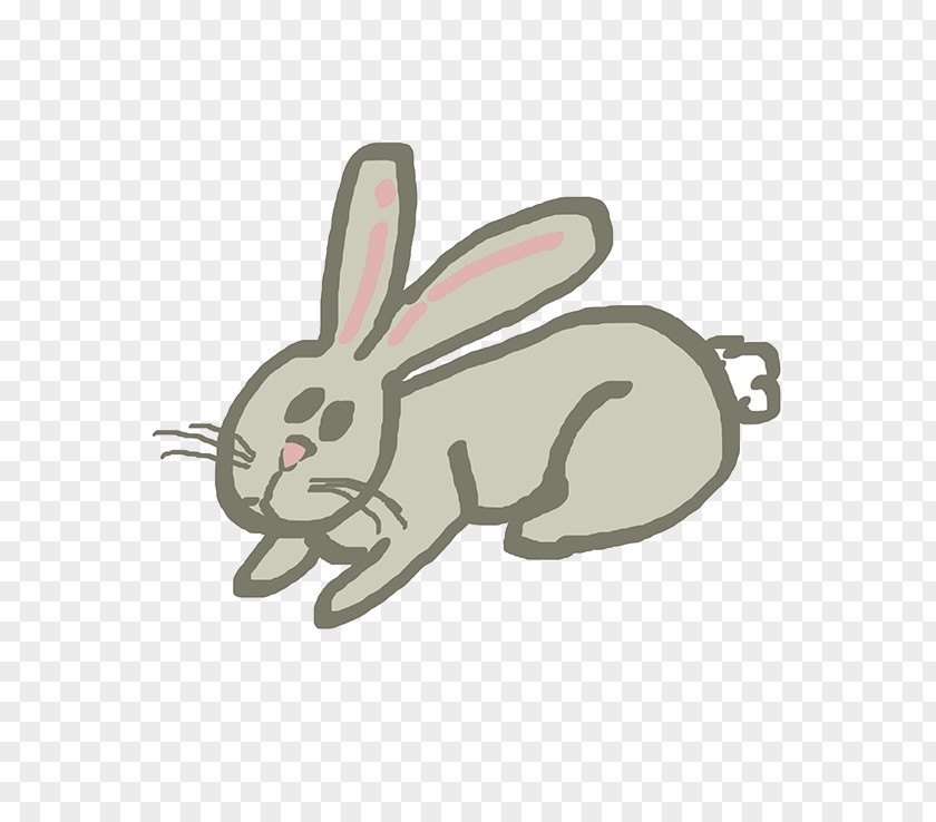 Rabbit Easter Bunny Hare Angora Domestic PNG