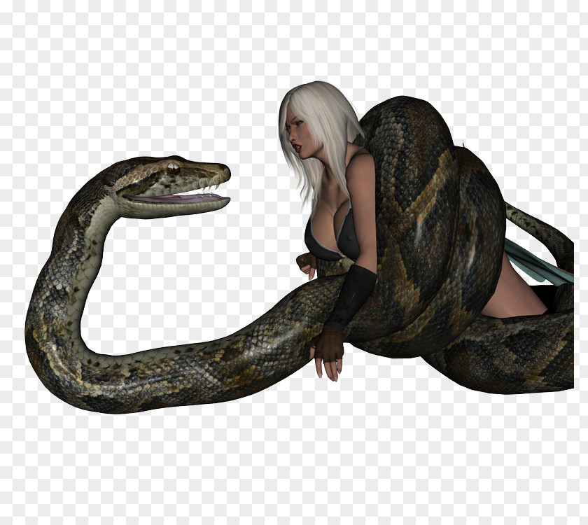 Snakes Snake Boas Reptile Constriction Art PNG