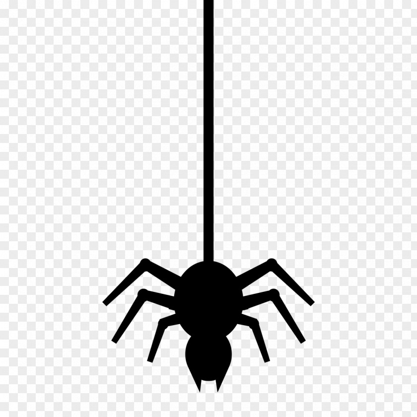 Tarantula Logo Spider Web PNG
