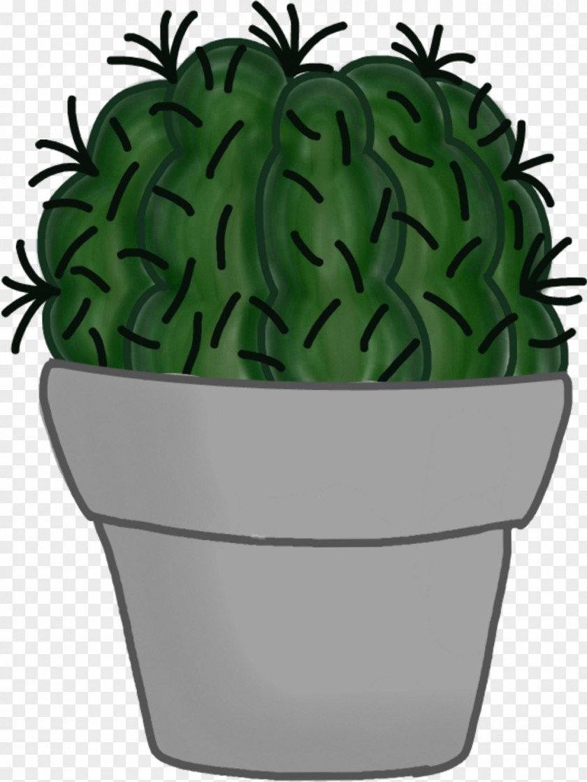 Cactus Succulent Plant Plants Schlumbergera Flowerpot PNG