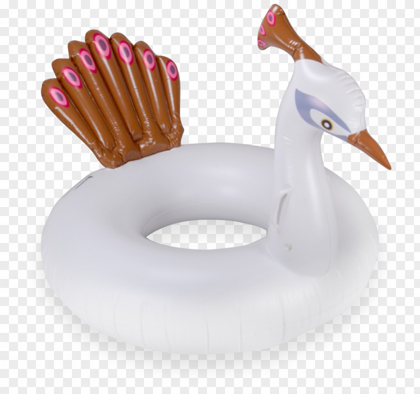 Floating Feathers Mimosa Duck Inflatable Anatidae Orange PNG