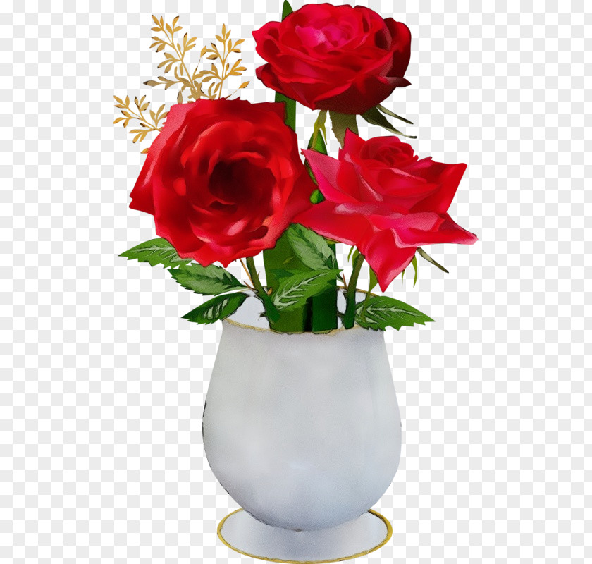 Flowerpot Rose Family Garden Roses PNG