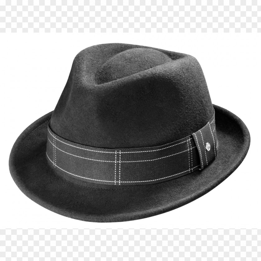 Hat Fedora Trilby Panama Borsalino PNG