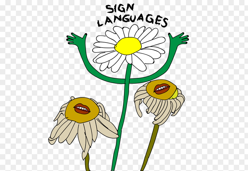 Spoken Language Floral Design English Irreplaceable PNG