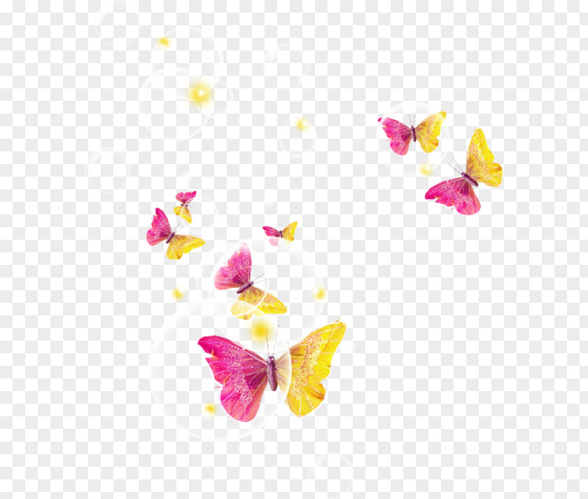Watercolor Butterfly Painting PNG