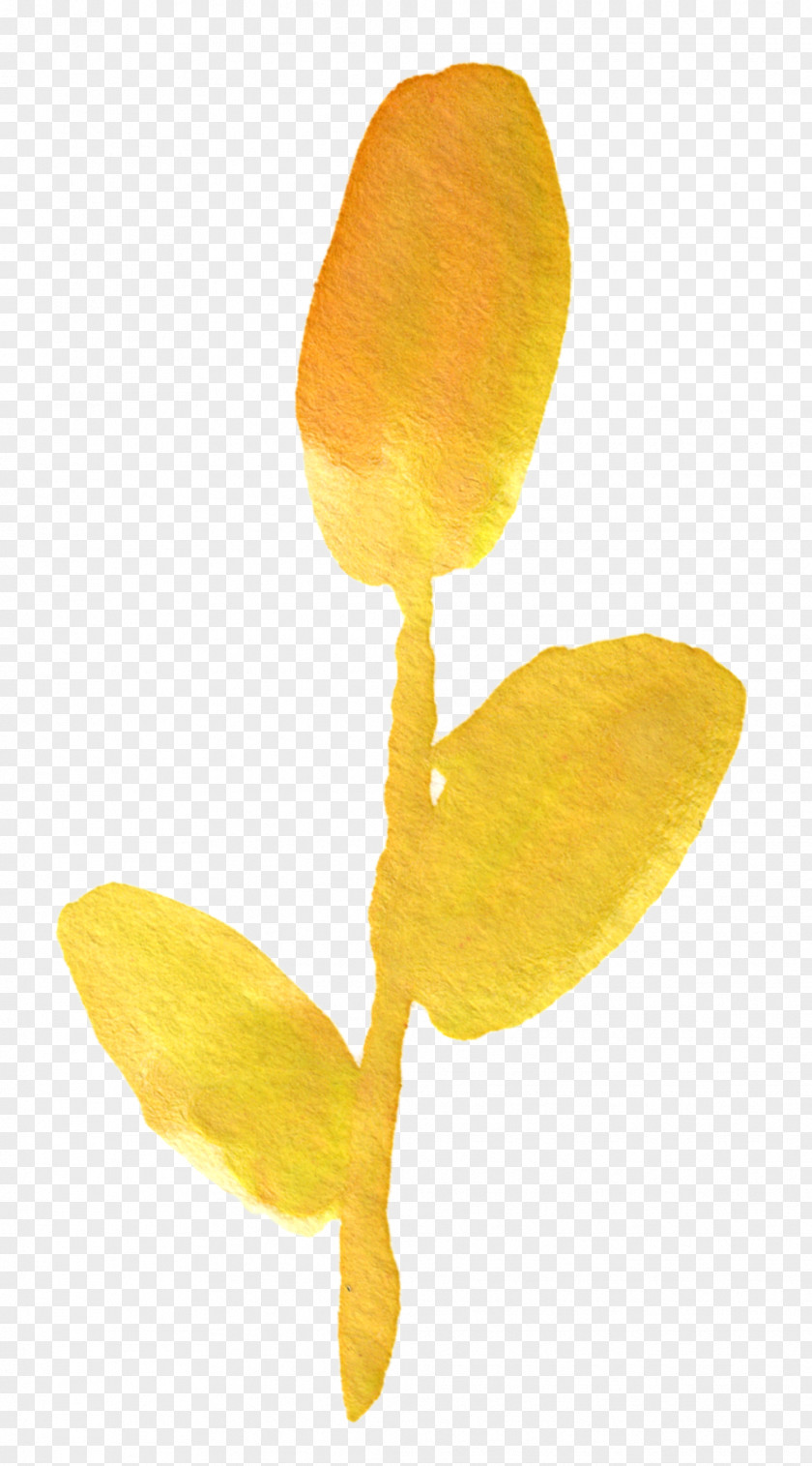 Yellow Watercolor Flower Painting Floral Design Clip Art PNG