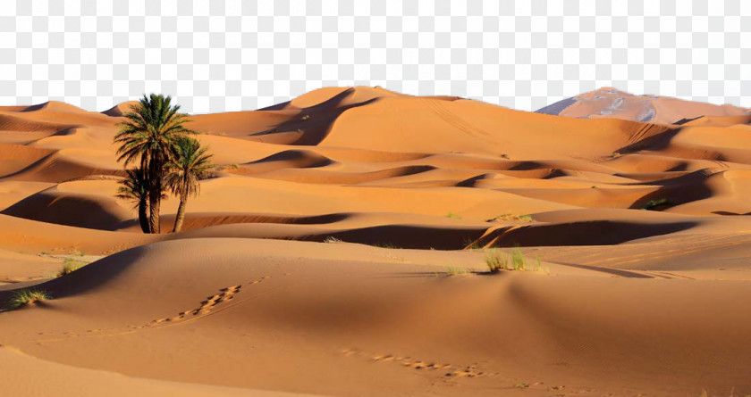 Beautiful Desert Landscape Sossusvlei Libyan Dune PNG