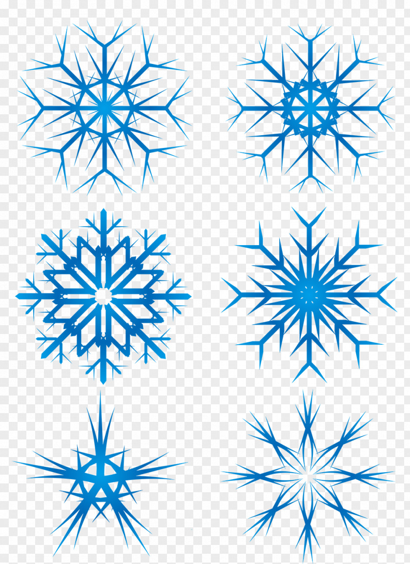 Blue Snowflake Winter Euclidean Vector PNG