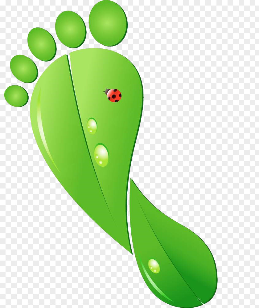 Footprints Carbon Footprint Ecological Ecology Clip Art PNG