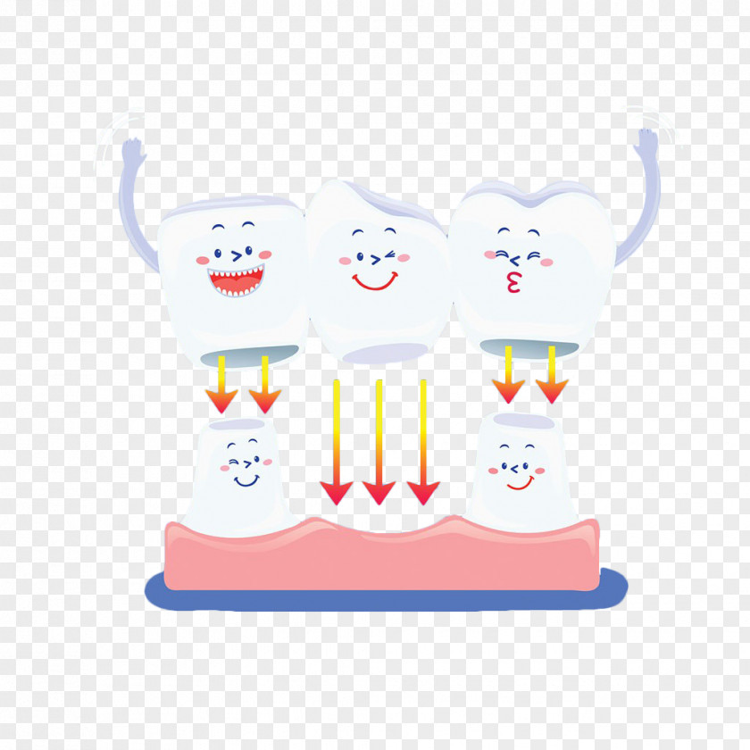 Hand Painted Teeth Porcelain Human Tooth Euclidean Vector PNG