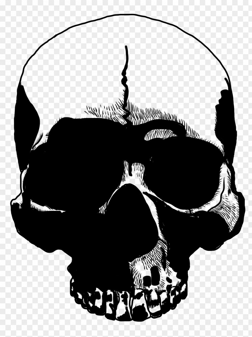 M Skull Clip Art Audio Black & White PNG