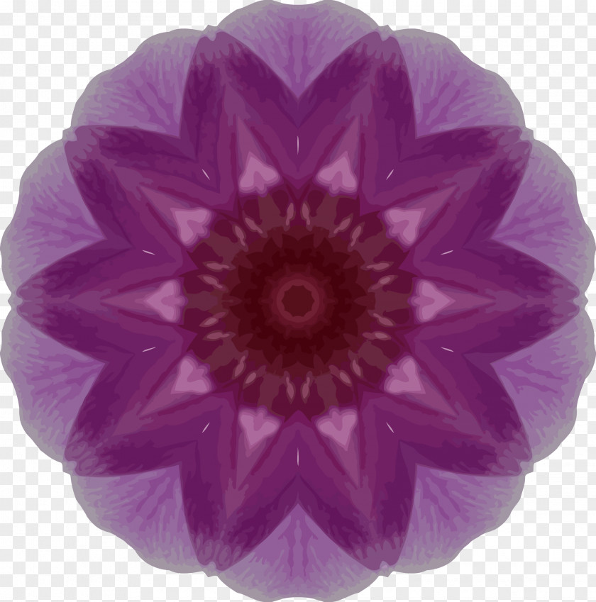 Orchid Orchids Kaleidoscope Clip Art PNG