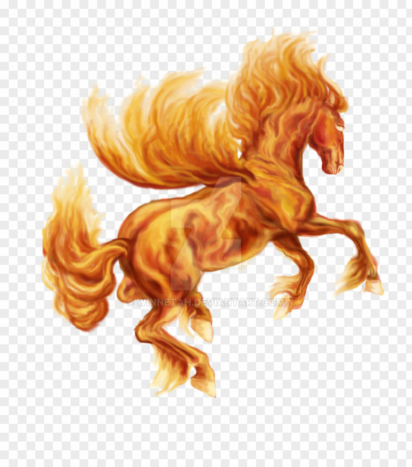 Pegasus Horse Unicorn Fire Drawing PNG