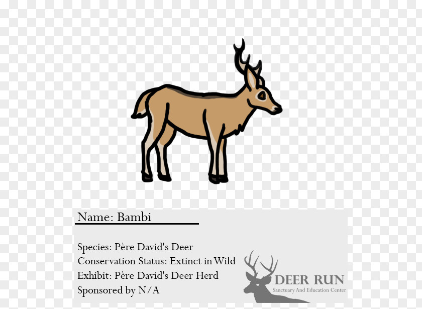 Reindeer Elk Cattle Antelope PNG