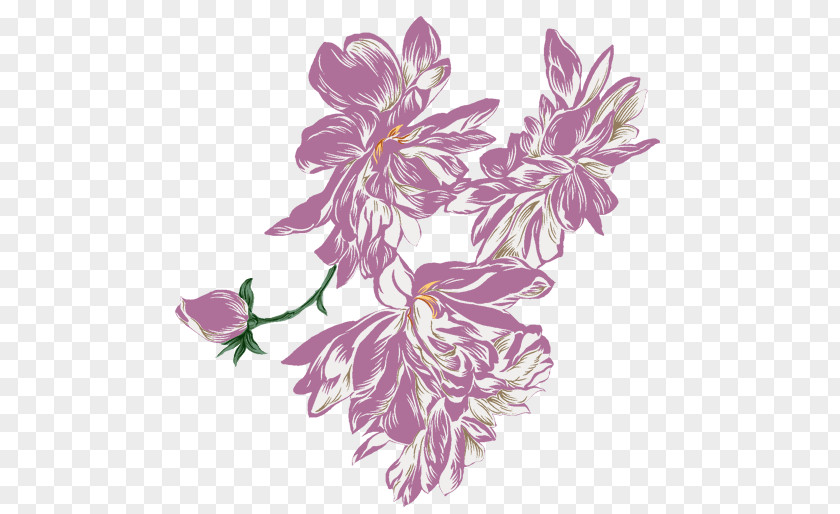 Retro Flowers Feathers Clip Art PNG