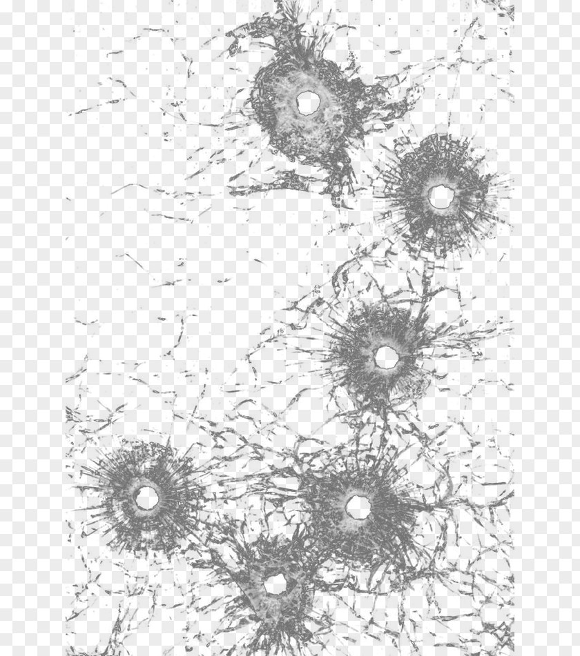 Bullet Holes Glass PNG