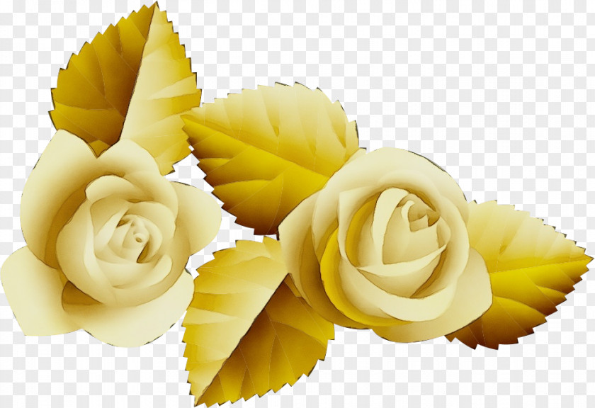 Garden Roses PNG