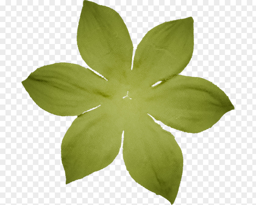 Little Flower Petal Naver Blog PNG