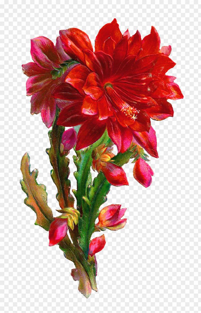 Red Flower Rose Gift Floristry PNG
