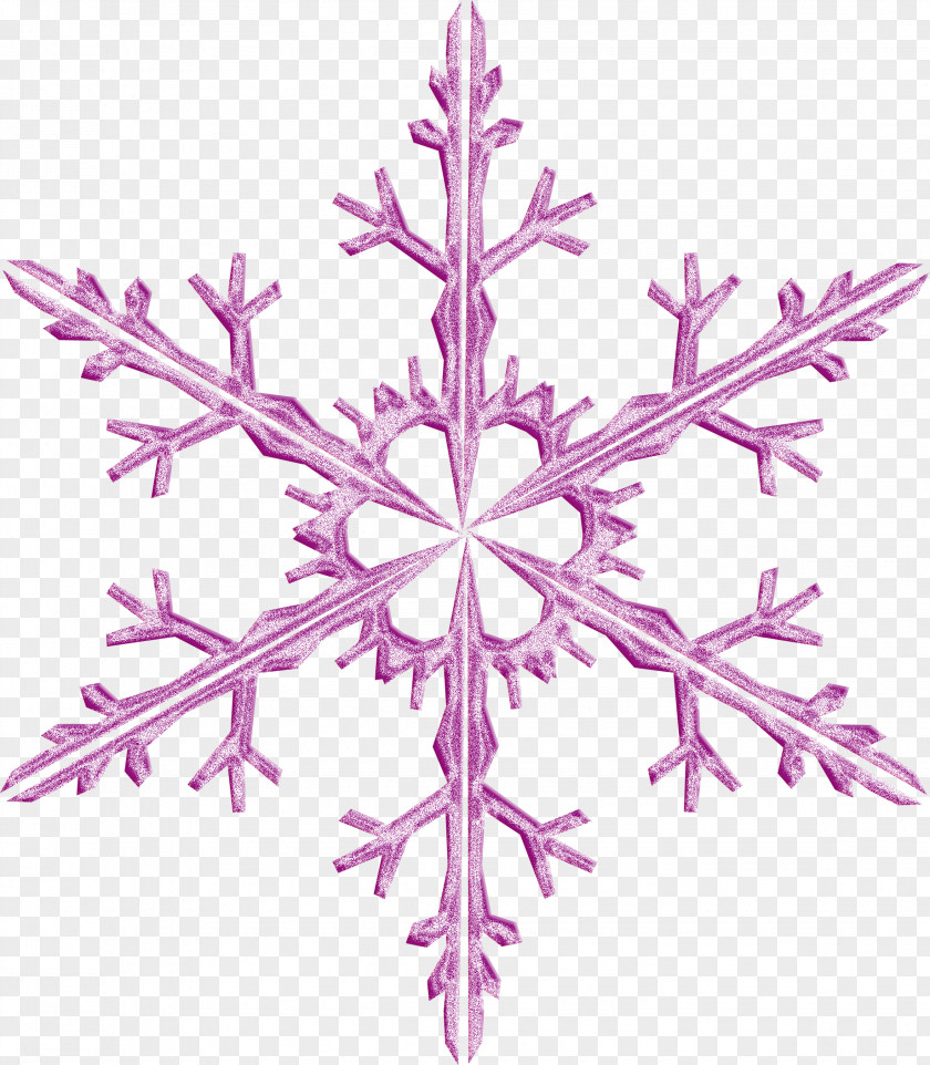 Snowflake Transparent Symmetry Pattern Visual Arts Design Line PNG