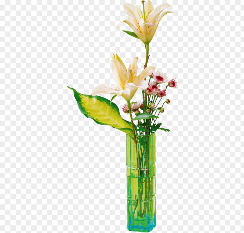 Arum Family Interior Design White Lily Flower PNG