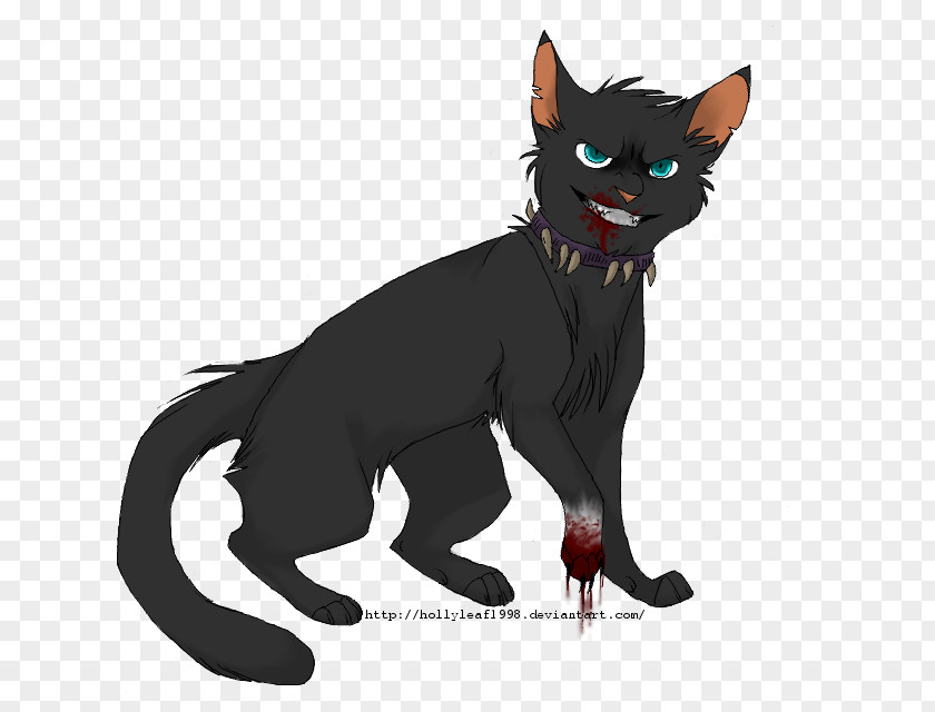 Kitten Whiskers Black Cat Demon Canidae PNG