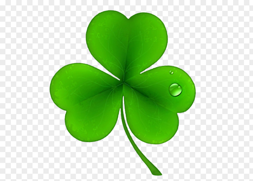 Saint Patrick Ireland Patrick's Day National ShamrockFest Public Holiday PNG