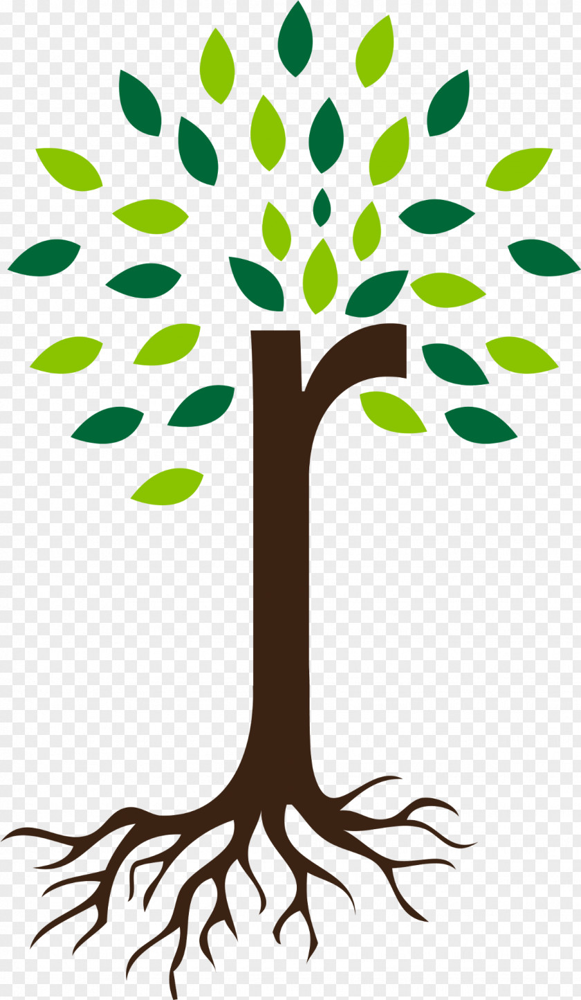 Tree Clip Art Root Nursery PNG