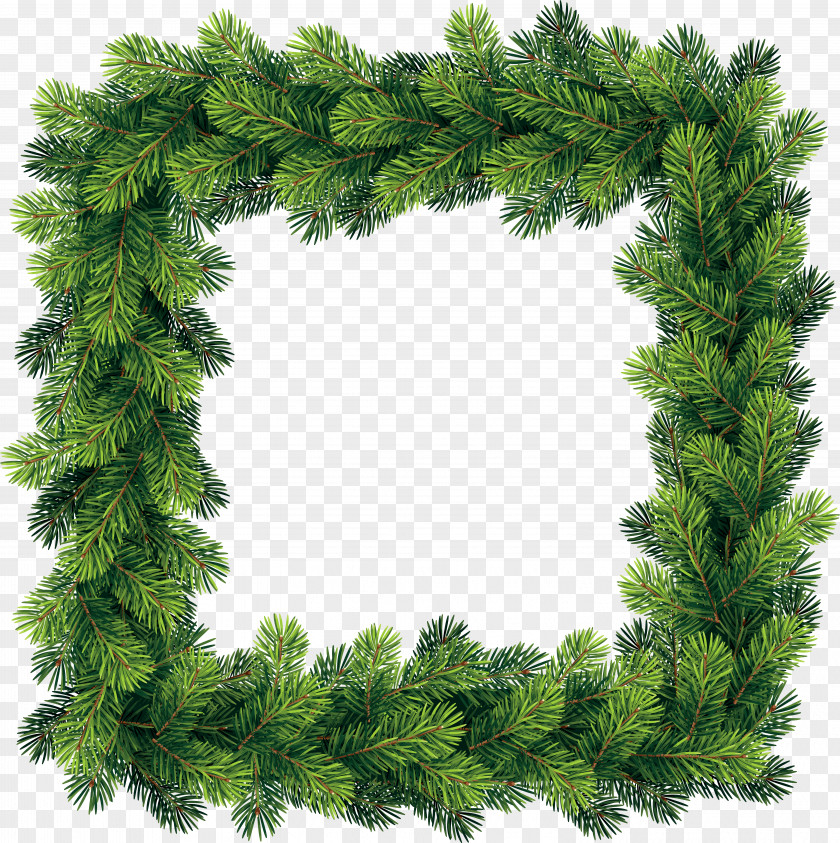 Twig Juniper White Christmas Tree PNG