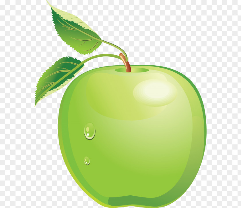 Apple Drawing Green Clip Art Desktop Wallpaper Image PNG