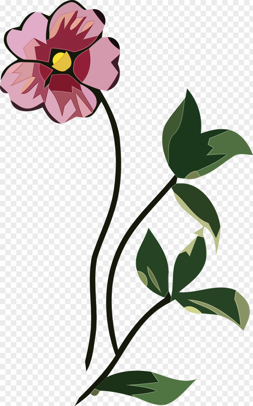 Floral Design PNG