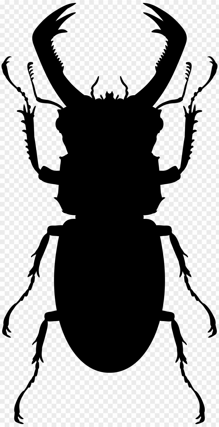 Hercules Beetle Stag Vector Graphics Stock Photography PNG