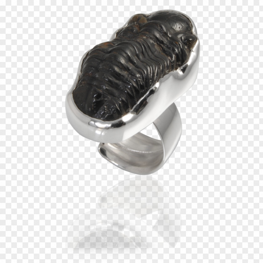 Ring Earring Gemstone Fossil Jewellery PNG