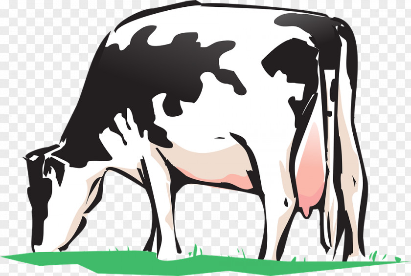 Dairy Cow Clip Art Cattle Beef Baka Grazing PNG