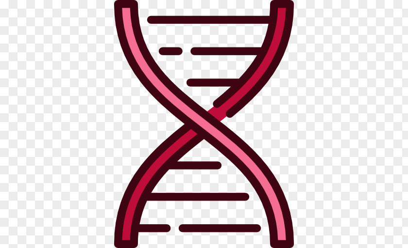 Dna Structure Human DNA Nucleic Acid Double Helix PNG