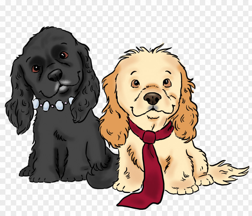 Puppy Dog Breed Portrait Of Wally English Cocker Spaniel PNG