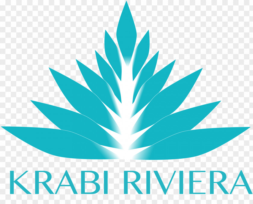 Sinai Divers Backpackers Krabi Riviera Company Ltd. Villa Global Best HR & Management Consulting Pvt Ltd Business PNG