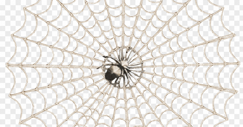 Spider Web Clip Art PNG