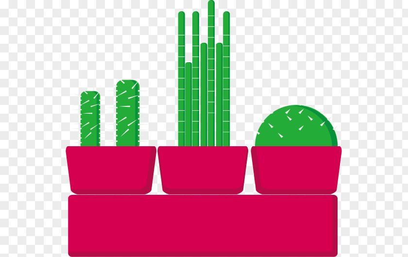 Vector Cactus Plants Cactaceae Plant Flowerpot PNG