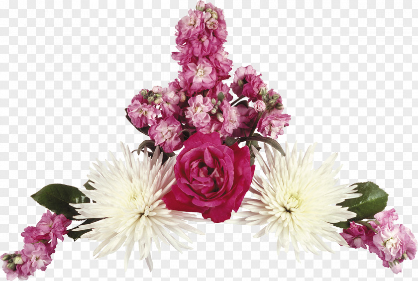 Chrysanthemum Flower Moutan Peony Clip Art PNG
