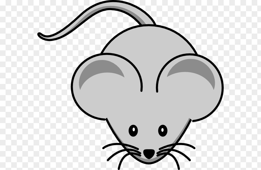 Ears Maus Mouse Clip Art PNG