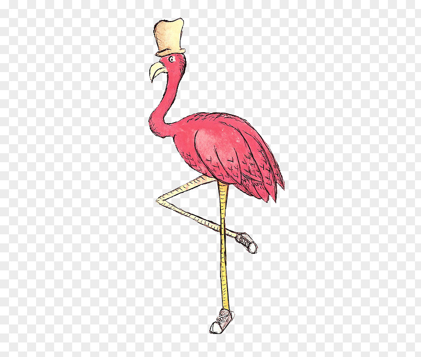 Flamingos Bird PNG