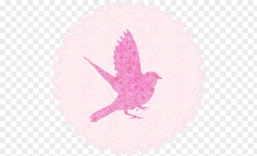 Pink Pigeons Bird Pigeon Columbidae PNG