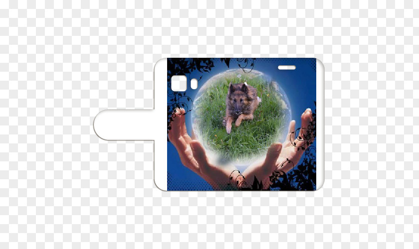 Samsung Galaxy Young 2 Animal Coven PNG